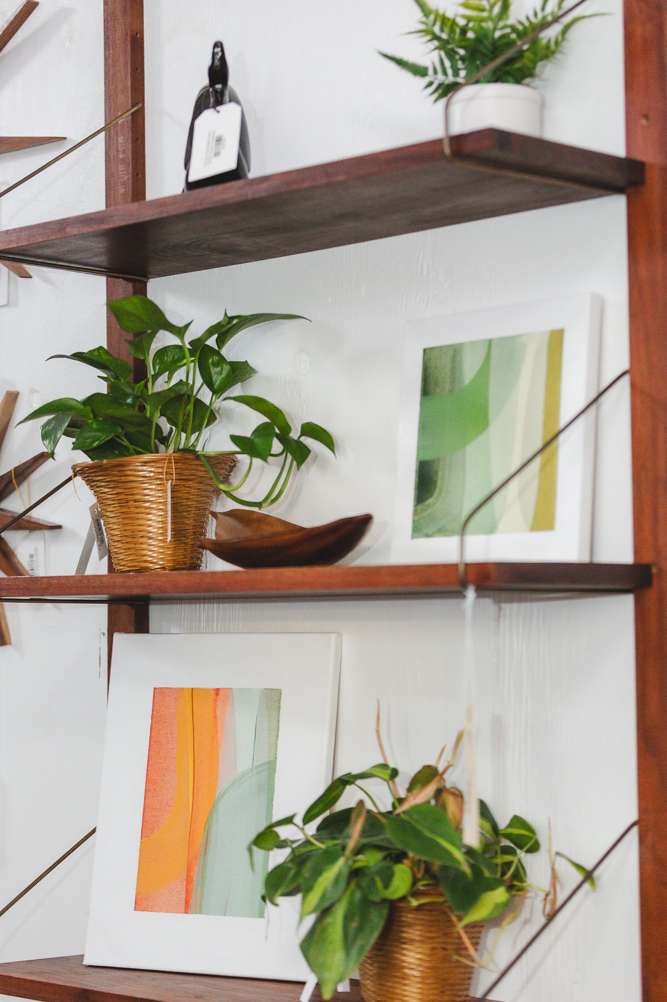 Walnut wall shelves with plants, a carved wooden bowl and abstract paintings
